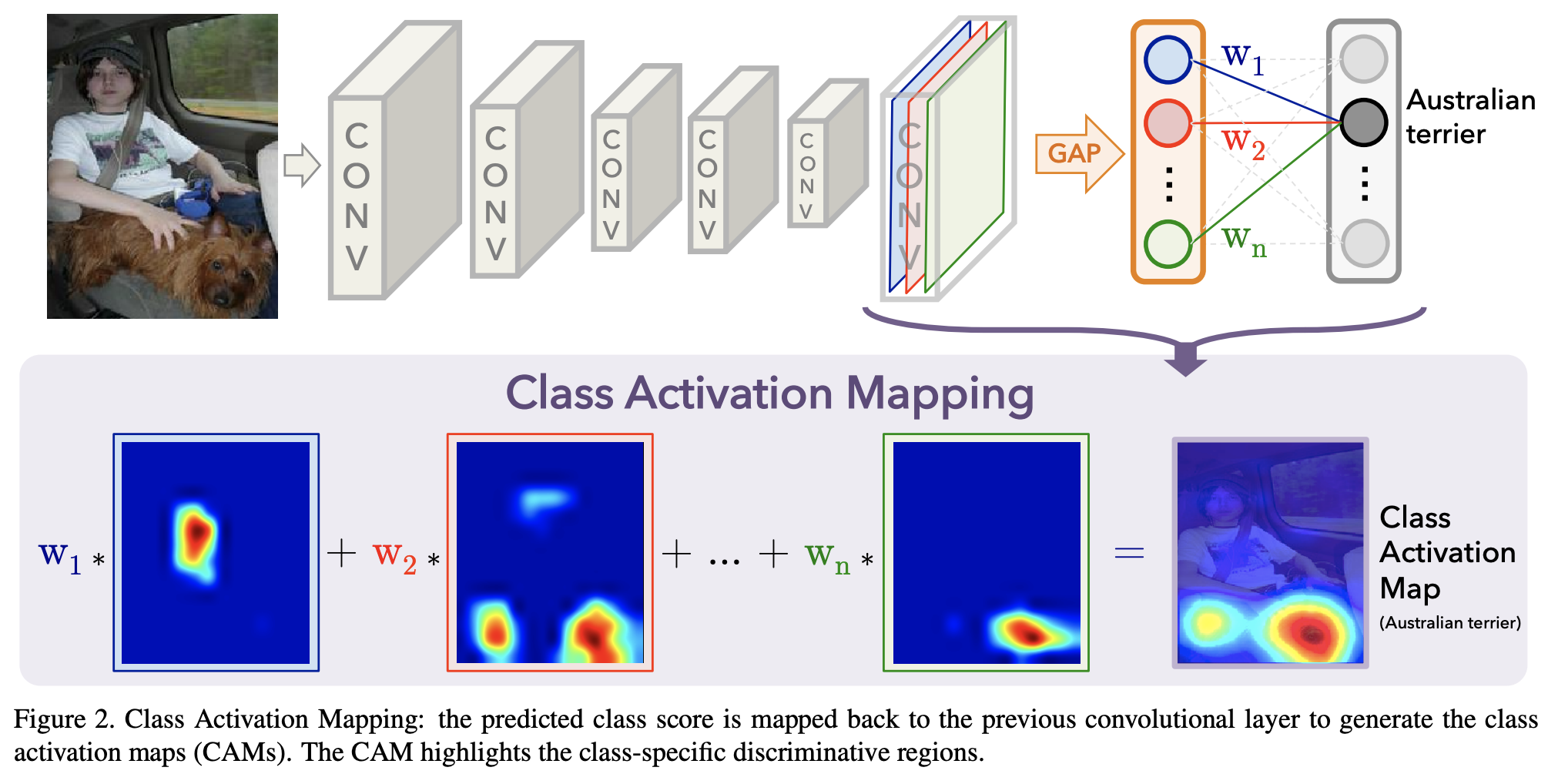 class activation map (CAM) は GAP と予測結果の愛大の重みに着目して可視化を行う方法である。