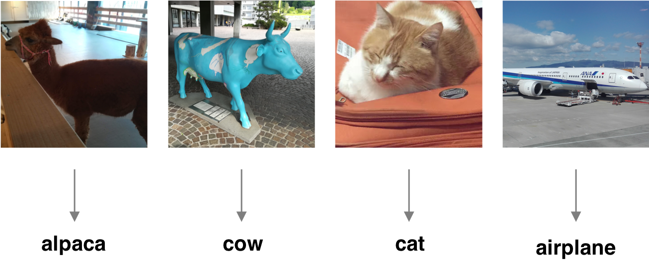 存続期間に応じた植物の分類