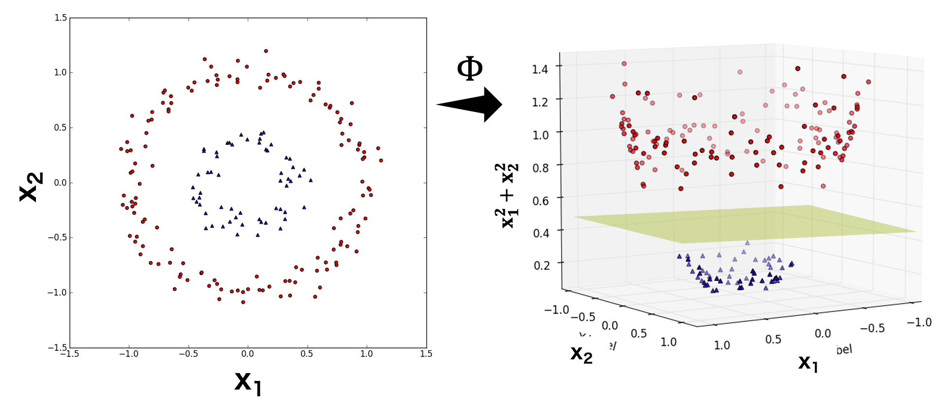 シアノバクテリア:その正体、特徴と例 - シアノバクテリアの特徴